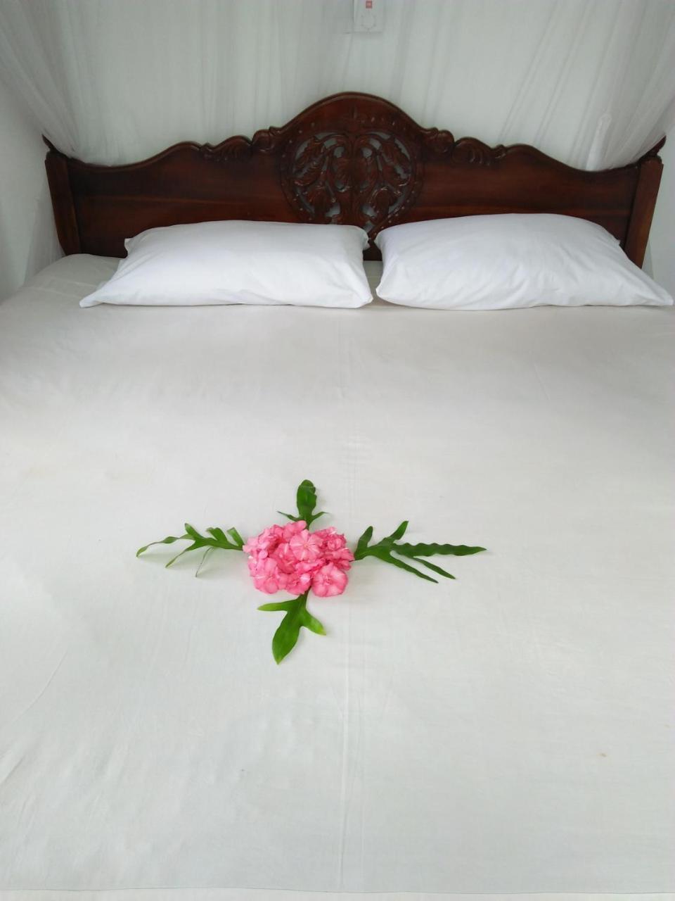 Ananda Villa Bentota Exteriér fotografie